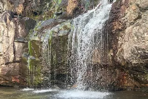 High Falls Trail Head image