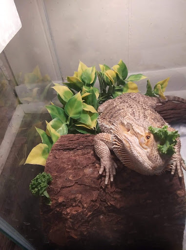 Pet Supply Store «Pet Valu», reviews and photos, 2738 Sidney St, Pittsburgh, PA 15203, USA