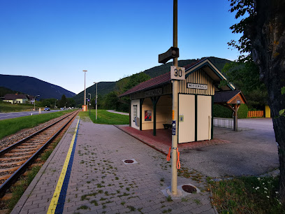 Miesenbach-Waidmannsfeld Bahnhof