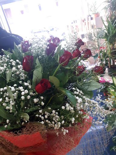 Bodrum Dilek Çiçek & Organizasyon