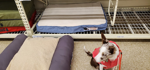 Pet Supply Store «PetSmart», reviews and photos, 2631 Beene Blvd, Bossier City, LA 71111, USA