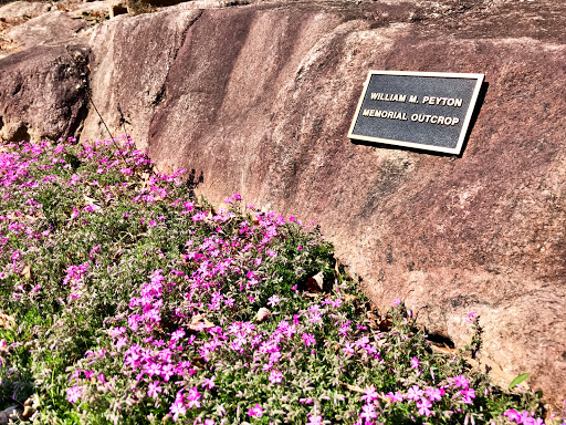 Botanical Garden «Botanical Gardens At Asheville», reviews and photos, 151 W .T. Weaver Blvd, Asheville, NC 28804, USA