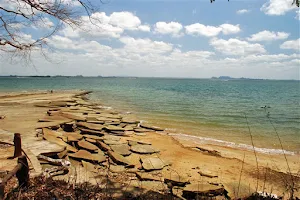 Fossil Shell Beach image