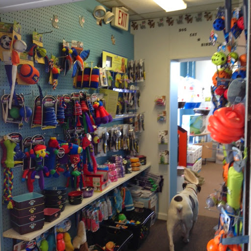Pet Store «Fins And Feathers», reviews and photos, 222 Willow Ave, Honesdale, PA 18431, USA