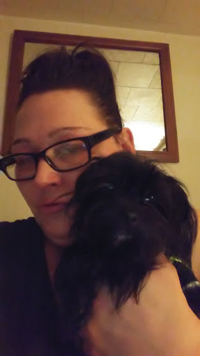 Pet Supply Store «PetSmart», reviews and photos, 479 River Hill Dr, Ashland, KY 41101, USA