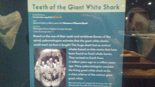 Museum «Museum», reviews and photos, 2142 Southern Dr, Statesboro, GA 30458, USA