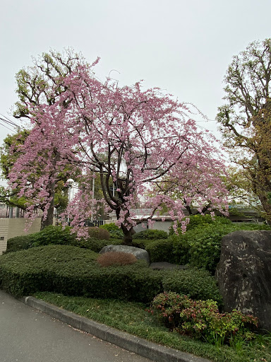 Kyorin University, Mitaka Campus