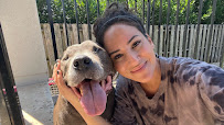 Mad Pet Loverz - Photo 9 - Car repair in , Austin