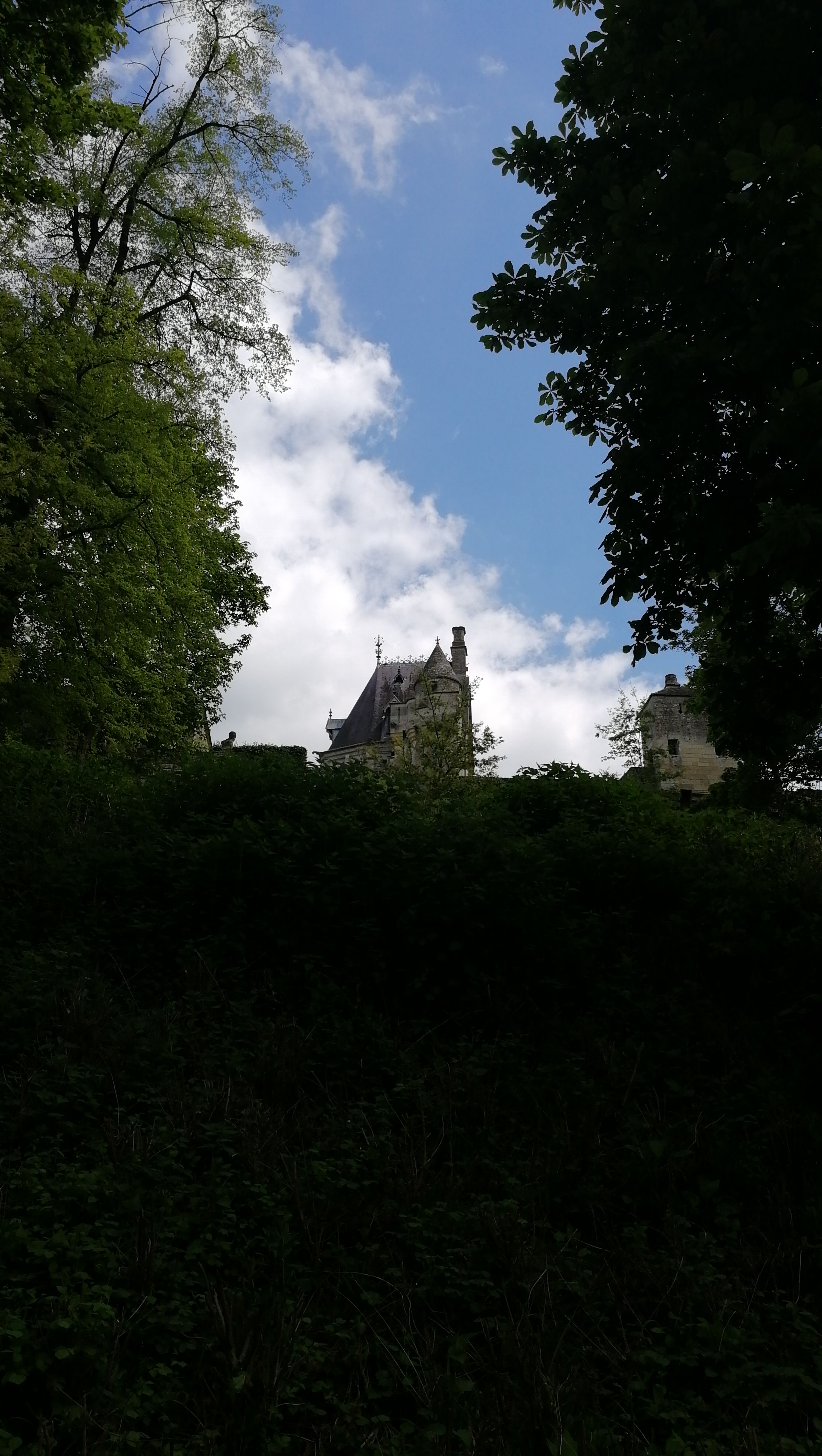 Photo n° 50 de l'avis de Yann.t fait le 12/05/2019 à 15:41