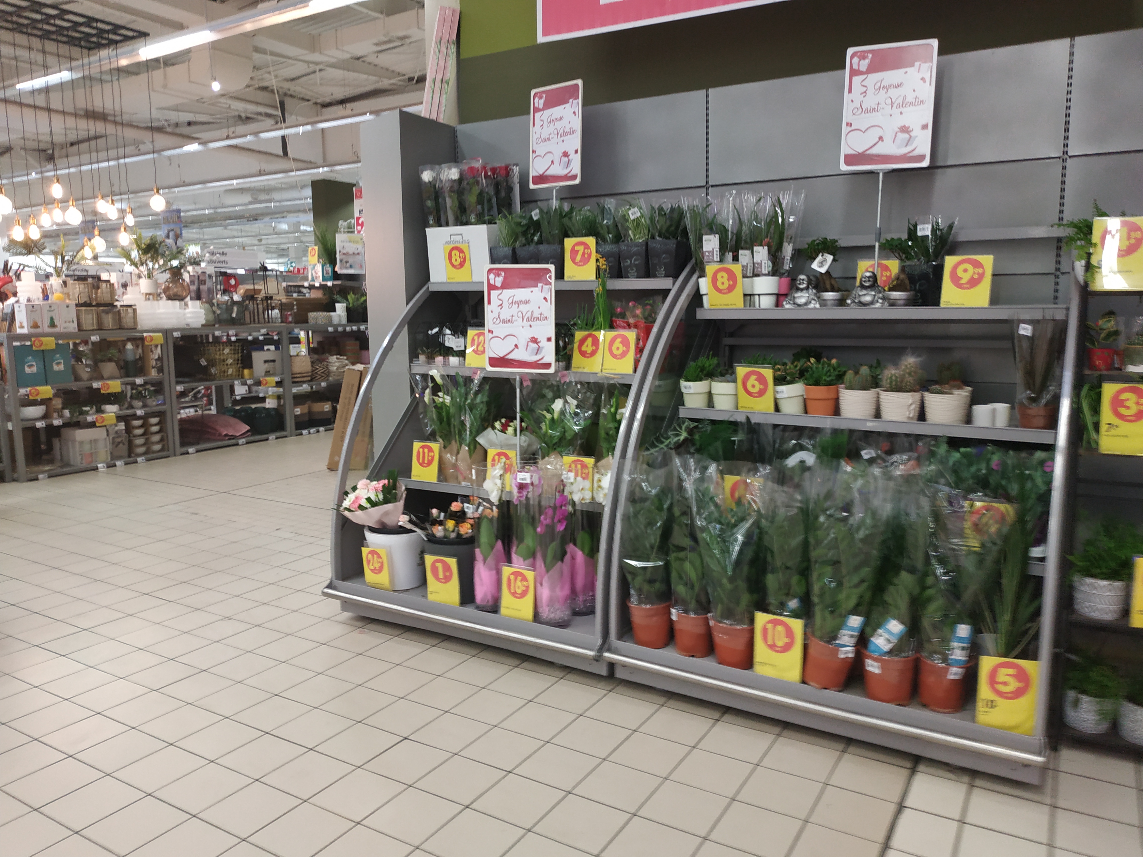 Photo n° 45 de l'avis de Corinne.i fait le 15/02/2020 à 23:38