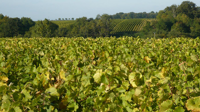 DOMAINE DU VIKING à Reugny