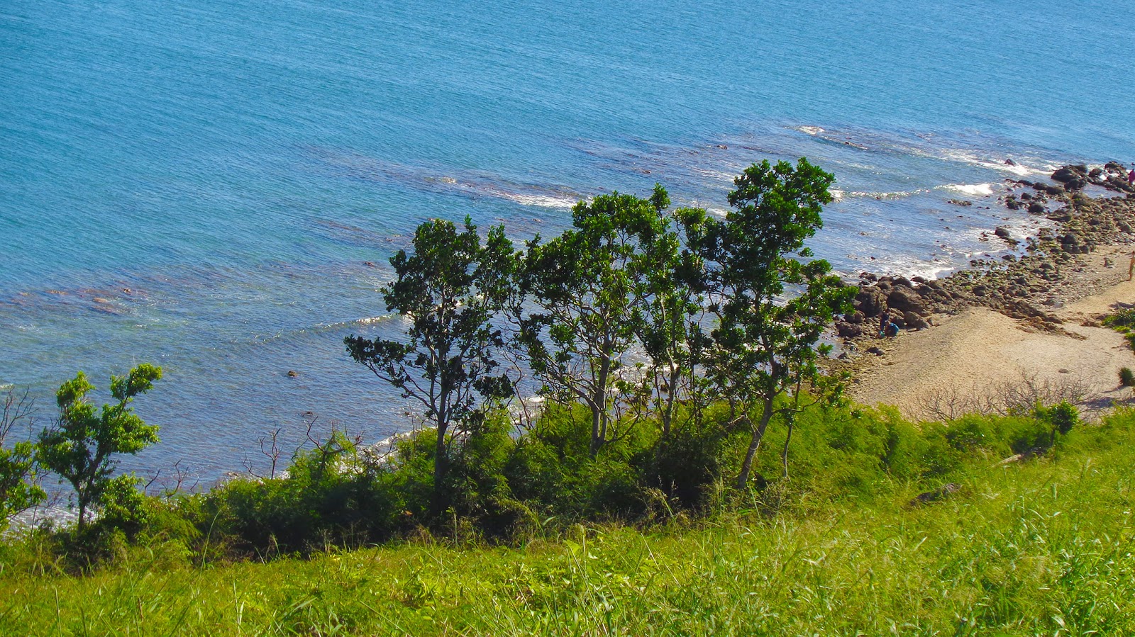 Noumea Nudist Beach的照片 带有碧绿色纯水表面