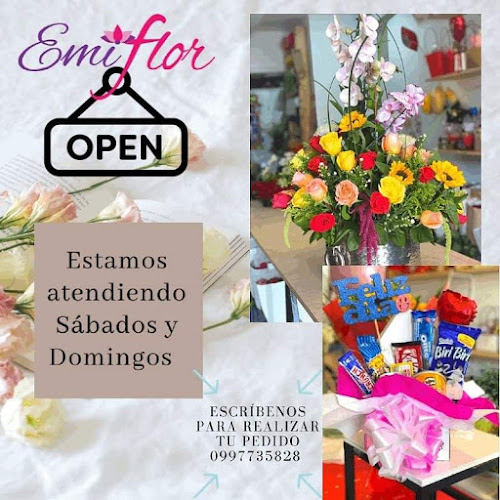 Opiniones de Emiflor Florería en Quito - Floristería