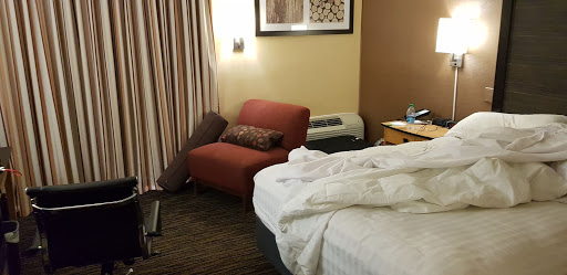 Holiday Inn Dublin-Pleasanton, an IHG Hotel image