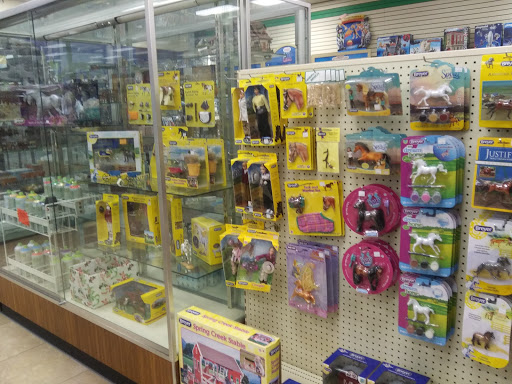 Hobby Store «Hobby Bench», reviews and photos, 4240 W Bell Rd # A11, Glendale, AZ 85308, USA