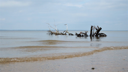 Historical Landmark «George Washington Birthplace National Monument», reviews and photos, 1732 Popes Creek Rd, Colonial Beach, VA 22443, USA