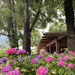 Photo n°7 de l'avis de Elena.u fait le 25/06/2021 à 15:53 sur le  Kincho Restaurant & Bar à Como