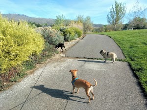 Rainbow Ridge Park - photo 53
