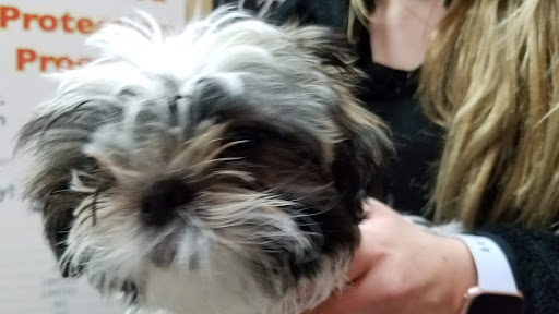 Pet Store «Petland», reviews and photos, 920 Hebron Rd, Heath, OH 43056, USA