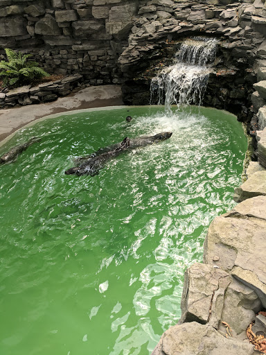 Aquarium «Aquarium of Niagara», reviews and photos, 701 Whirlpool St, Niagara Falls, NY 14301, USA