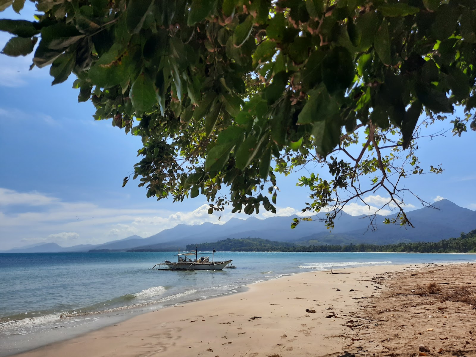 Napsan Beach的照片 带有碧绿色纯水表面