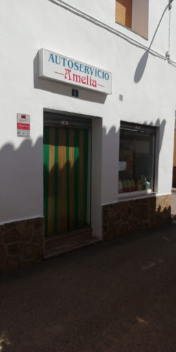 Carniceria y Autoservicio Amelia - 662 30 56 63