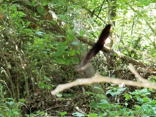 Park «Medina River Natural Area», reviews and photos, 15890 Highway 16 South, San Antonio, TX 78264, USA