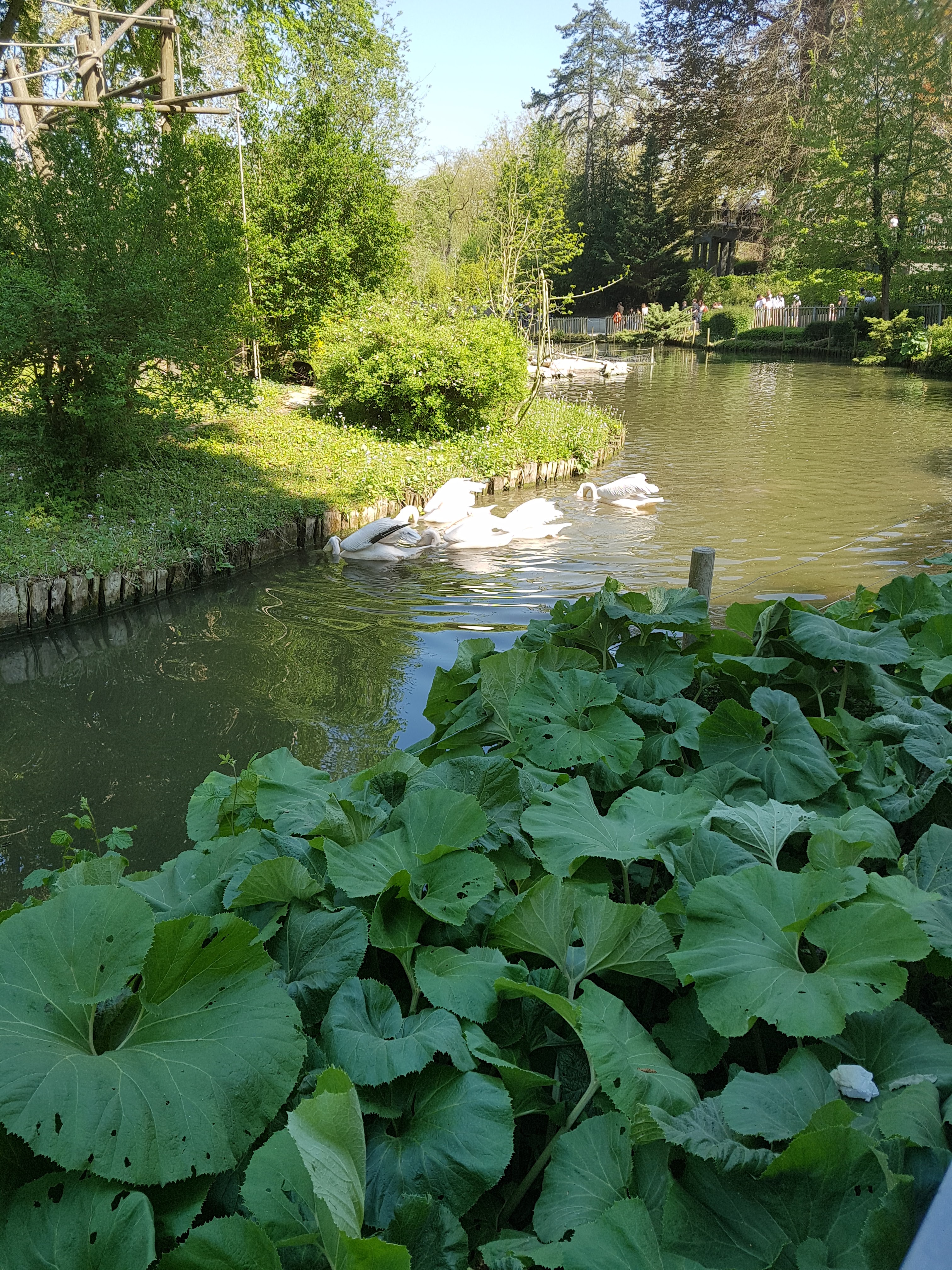 Photo n° 33 de l'avis de Celia.a fait le 30/04/2019 à 08:20