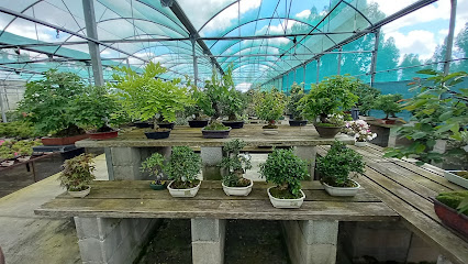 Luso-Bonsai, Comercialização De Plantas E Animais, Lda.