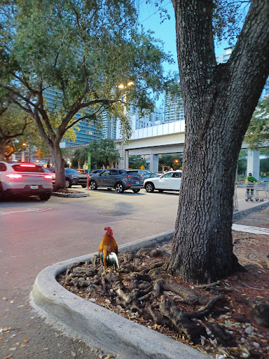 Publix Pharmacy at Brickell Village, 134 SW 13th St, Miami, FL 33130, USA, 