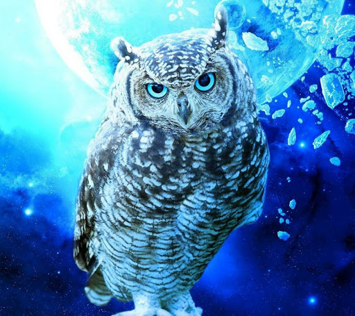 Pet Supply Store «Care-A-Lot Pet Supply», reviews and photos, 1924 Diamond Springs Rd, Virginia Beach, VA 23455, USA