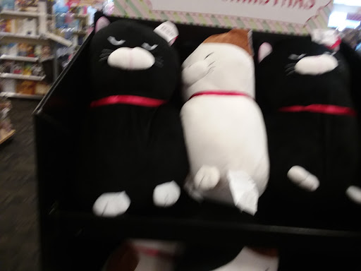 Book Store «Books-A-Million», reviews and photos, 1101 N Berkeley Blvd, Goldsboro, NC 27534, USA