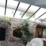 Photo n°4 de l'avis de Bornaghi.m fait le 27/07/2019 à 12:04 sur le  La Palma à Finale Ligure