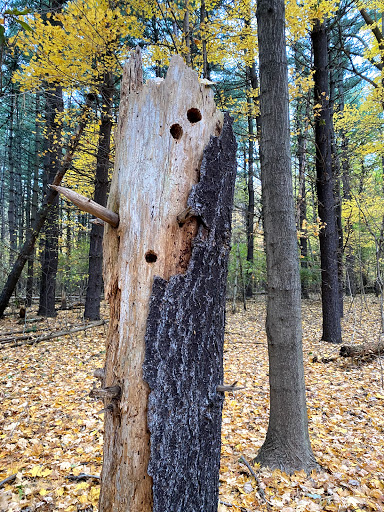 Nature Preserve «Holiday Nature Preserve», reviews and photos, 6935 N Hix Rd, Westland, MI 48185, USA