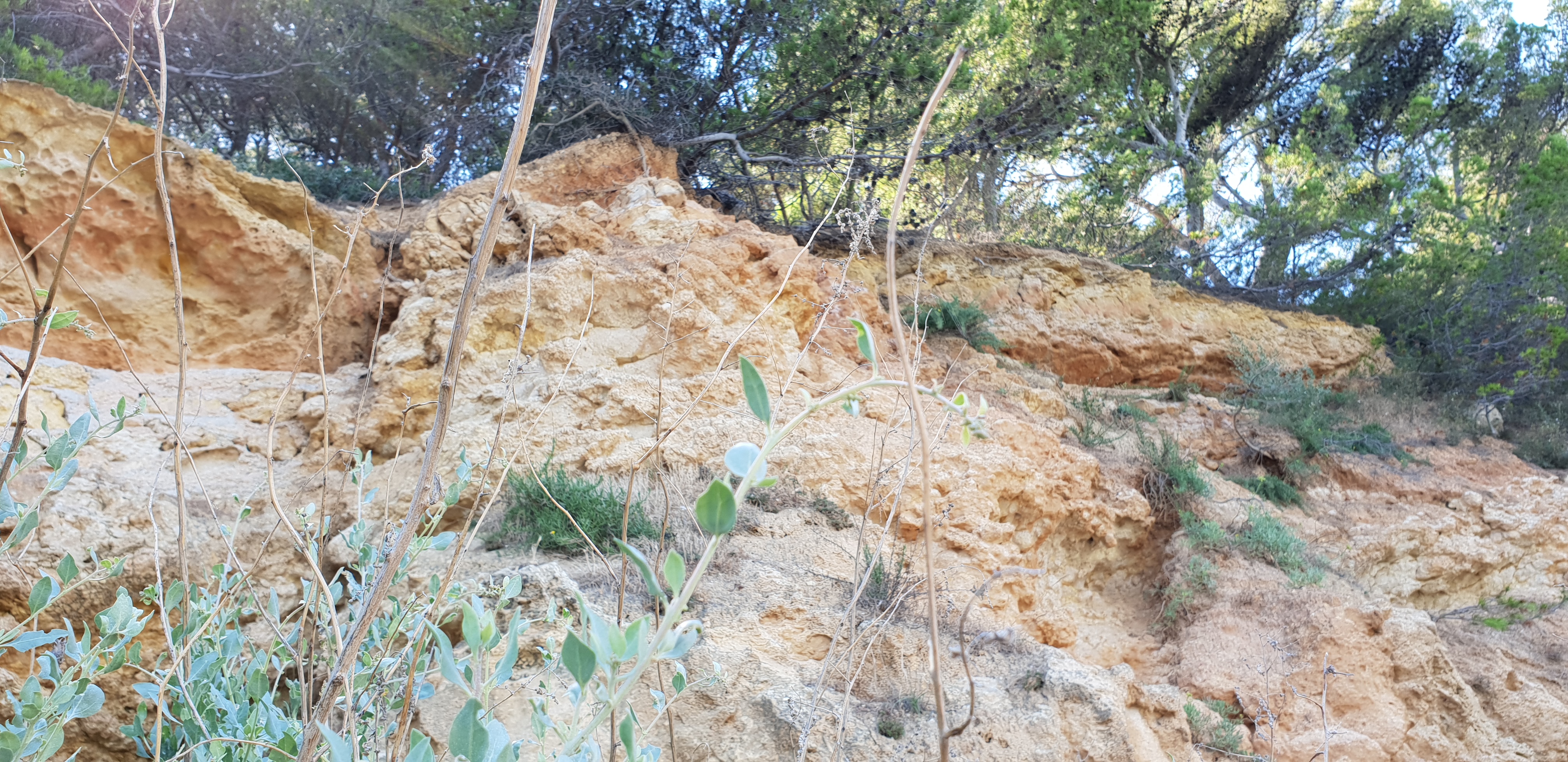Photo n° 4 de l'avis de Dominique.A fait le 18/07/2018 à 08:27