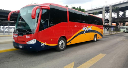 Autobuses EXAL