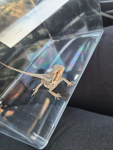 Pet Supply Store «PetSmart», reviews and photos, 139 Radio Dr, Stroudsburg, PA 18360, USA