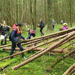 Photo n° 7 de l'avis de Denis.a fait le 08/05/2022 à 05:51 pour Foret de Beffou à Loguivy-Plougras