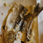 Photo n°7 de l'avis de Livio.o fait le 16/06/2022 à 07:33 sur le  Ristorante Ferro à Palermo