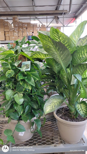 Home Improvement Store «The Home Depot», reviews and photos, 1955 E Pacheco Blvd, Los Banos, CA 93635, USA