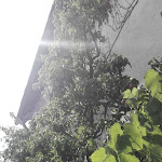 Photo n°26 de l'avis de Victoriano.u fait le 30/07/2018 à 21:58 sur le  Landgasthof Johann Adams Mühle à Tholey