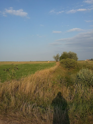 Opinii despre Csomorkányi Templomrom în Hódmezővásárhely - Múzeum