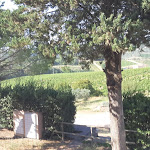 Photo n°12 de l'avis de PAOLO.I fait le 31/08/2020 à 17:14 sur le  Relais Riserva di Fizzano à Castellina in Chianti