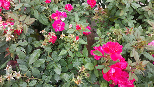 Pet Store «G & M Pet & Garden Center Inc», reviews and photos, 2014 N Walnut St, Muncie, IN 47303, USA