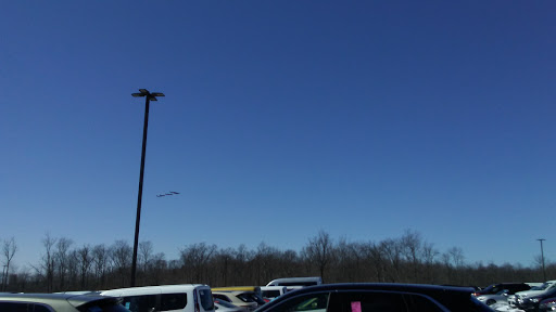 Auto Auction «Manheim New York», reviews and photos, 2000 Dealer Dr, Newburgh, NY 12550, USA