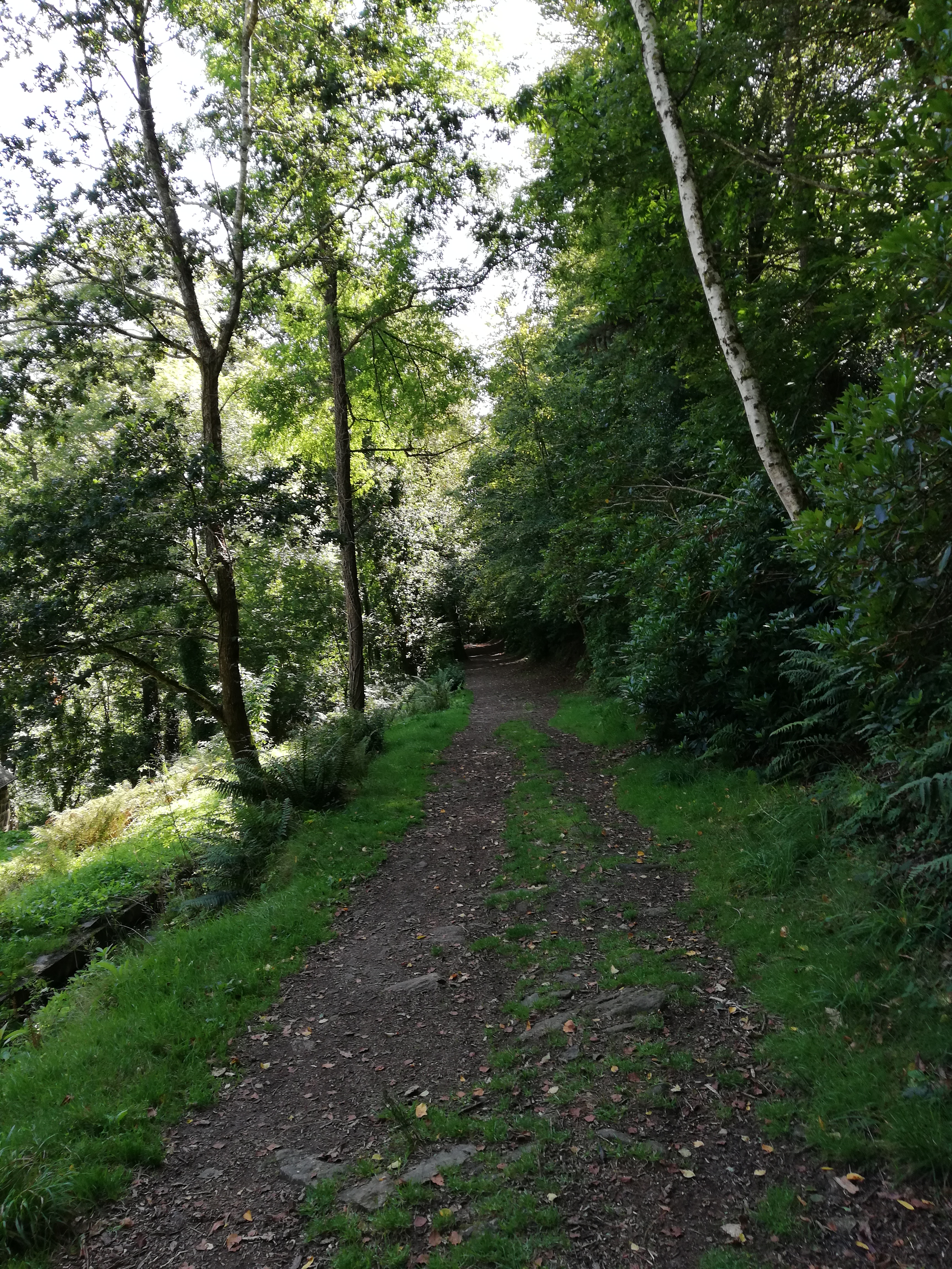 Photo n° 19 de l'avis de Celine.a fait le 17/10/2019 à 06:33