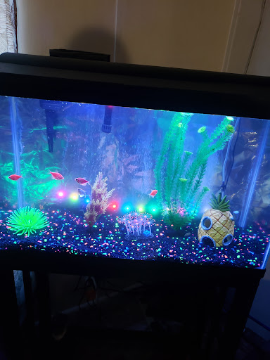 Pet Supply Store «Petco Animal Supplies», reviews and photos, 4475 SW 40th Ave, Ocala, FL 34474, USA