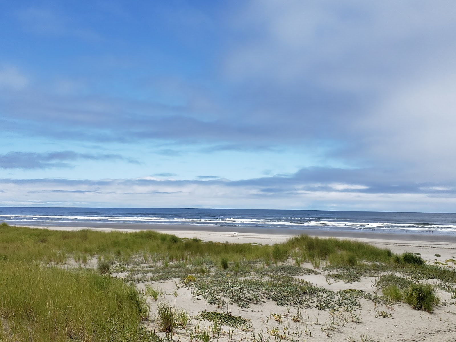 Zdjęcie Ocean Park beach z poziomem czystości wysoki