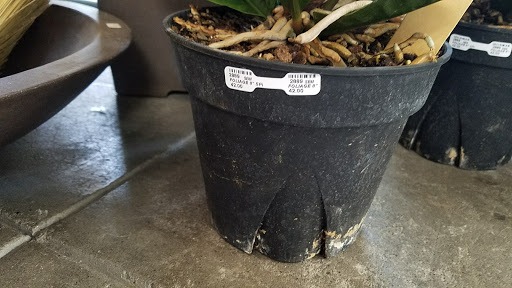 Shopping Mall «Fourth Street Shops», reviews and photos, 1834 Fourth St, Berkeley, CA 94710, USA