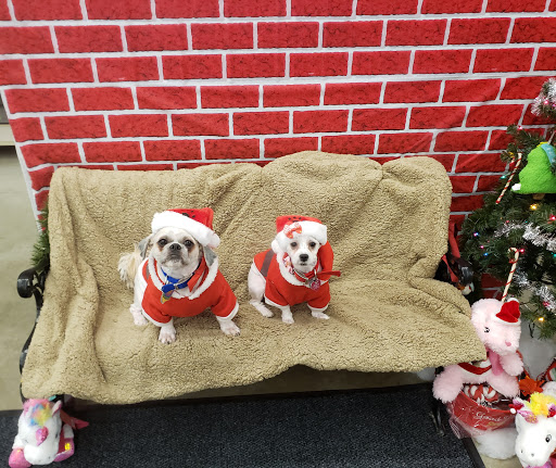 Pet Supply Store «PetSmart», reviews and photos, 5336 Westpointe Plaza Drive, Columbus, OH 43228, USA